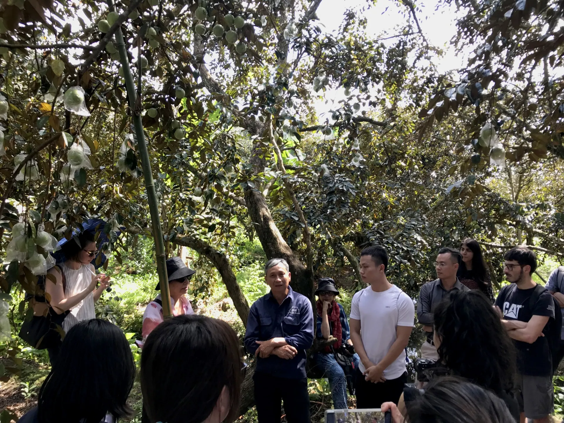 Carousel GSAPP Students And Faculty With Jup Hong Thai, Manager Of A Star Apple Orchard.JPG