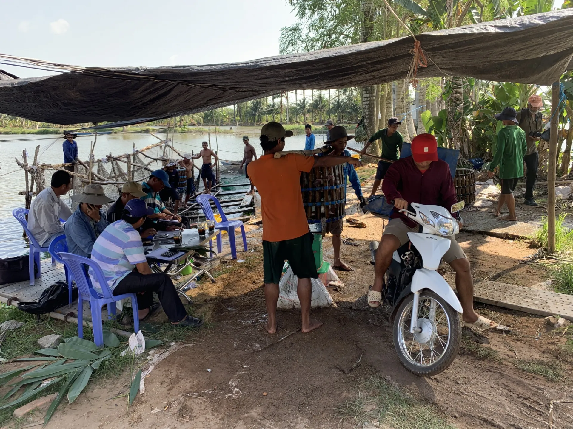 Carousel HAULING FISH TO MARKET ON MOTORBIKES.jpg