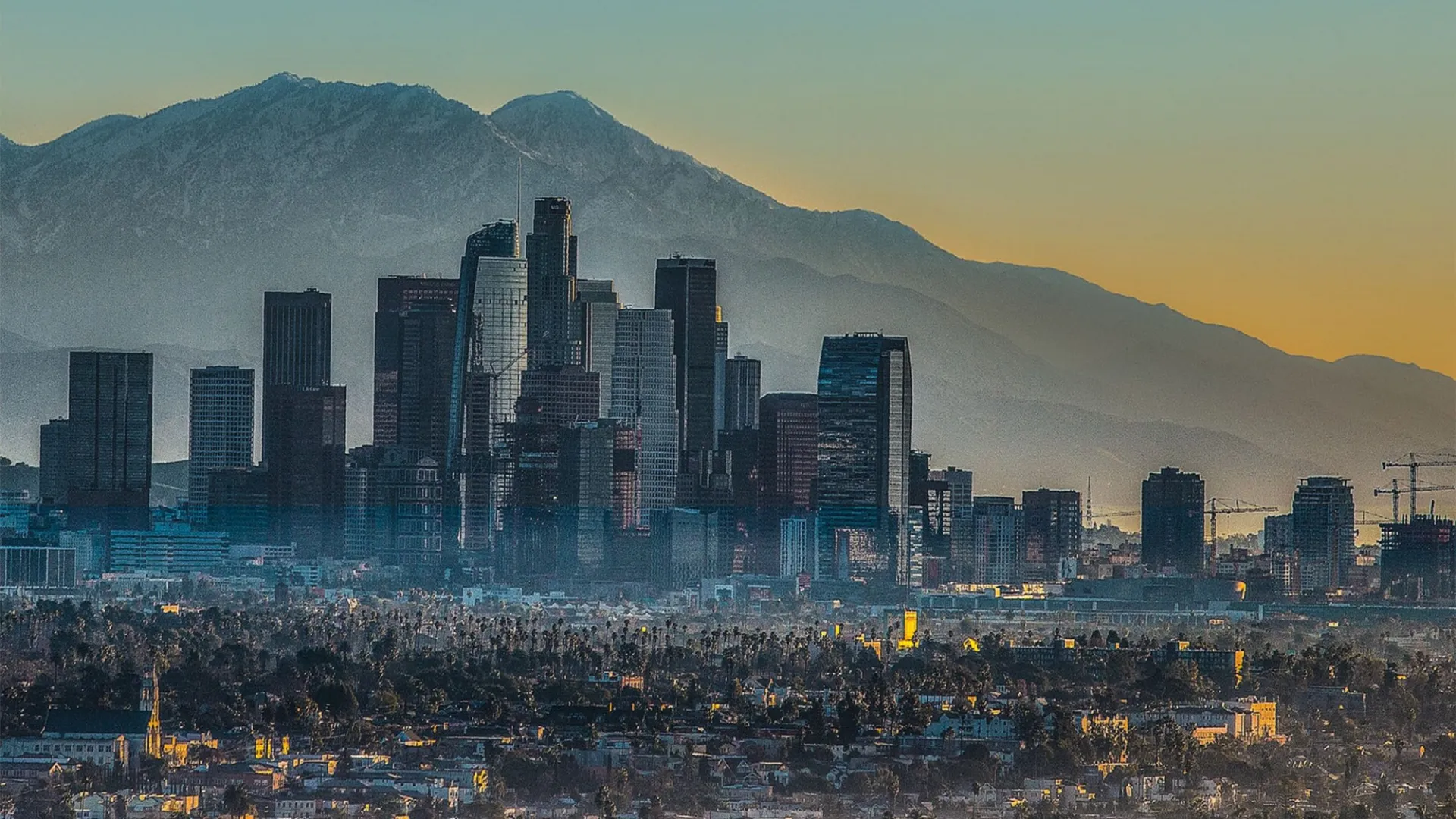Los Angeles Cityscape with sky scrappers, mountains and a sunset in the background; and dense low rise buildings and trees in the foreground
