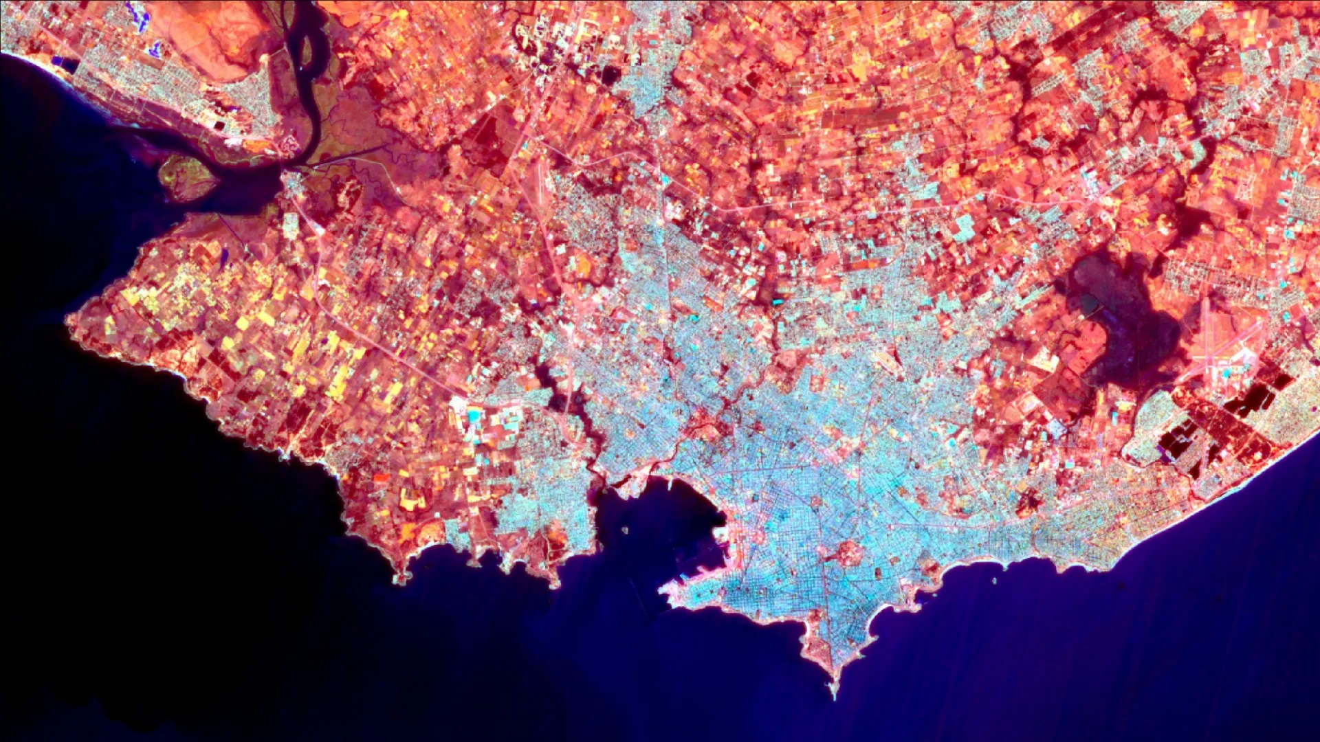 Landsat 8  Urbanization (Option 1).jpg