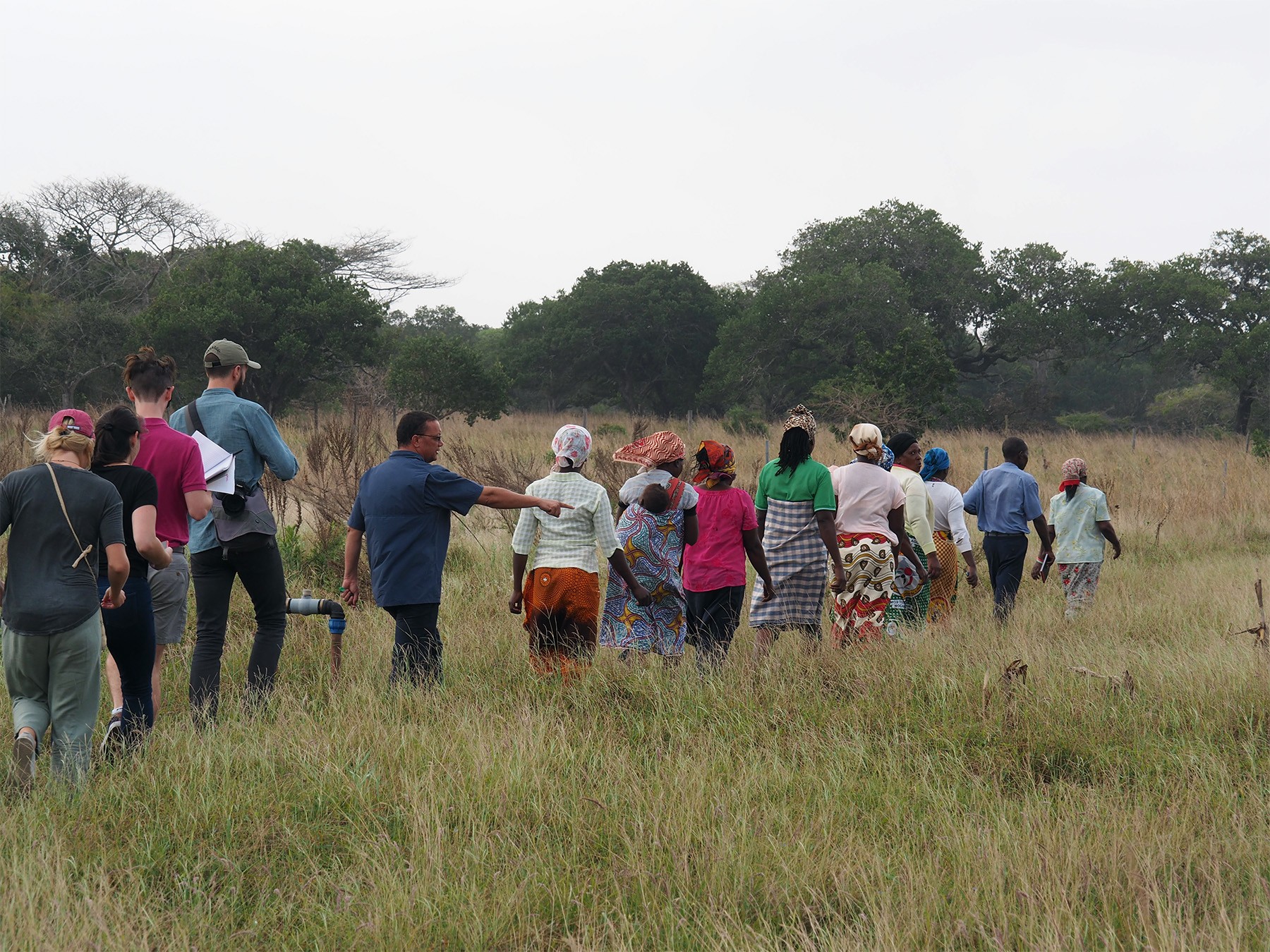 Columbia University, Lúrio University, and WWF staff visit local farms 12x9 Site Visit 1