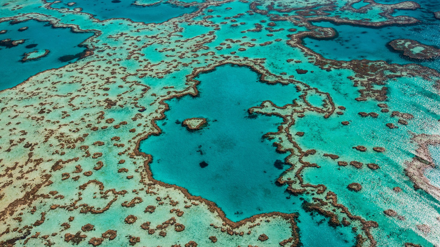 Great Barrier Reef Foundation Project