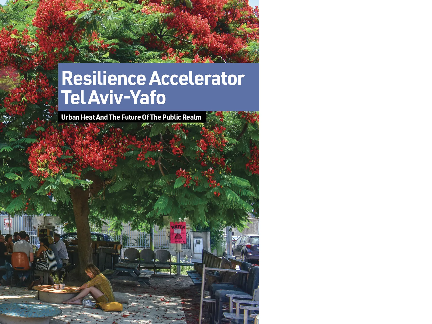 report cover