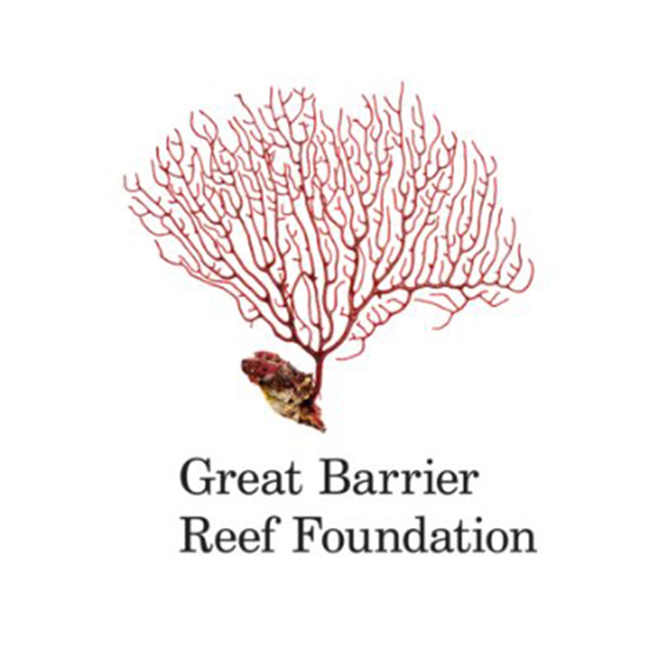 Great Barrier Reef Foundation
