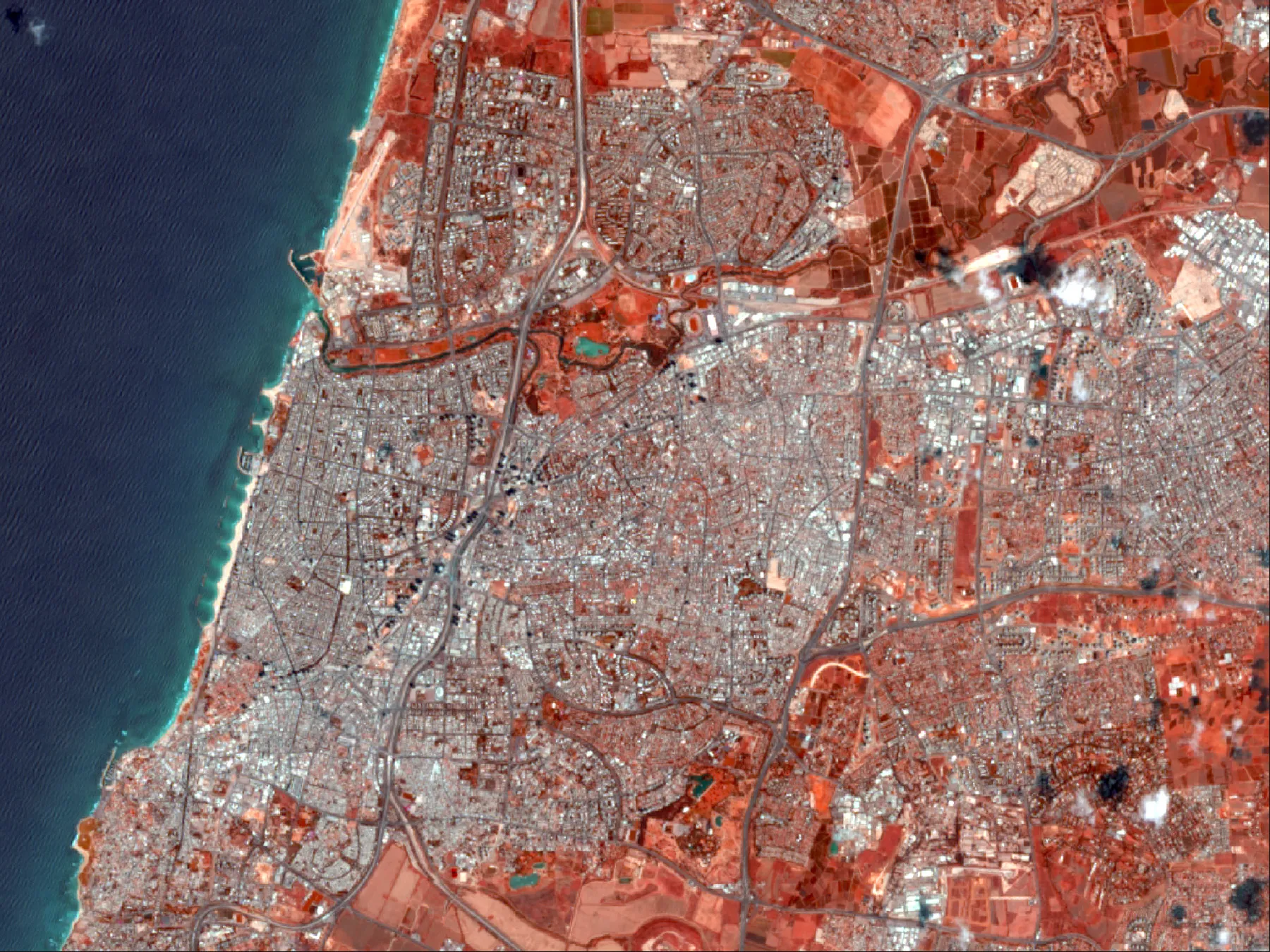 Carousel Tel Aviv, Isreal, Landsat 8   Variations In Bare Earth.jpg