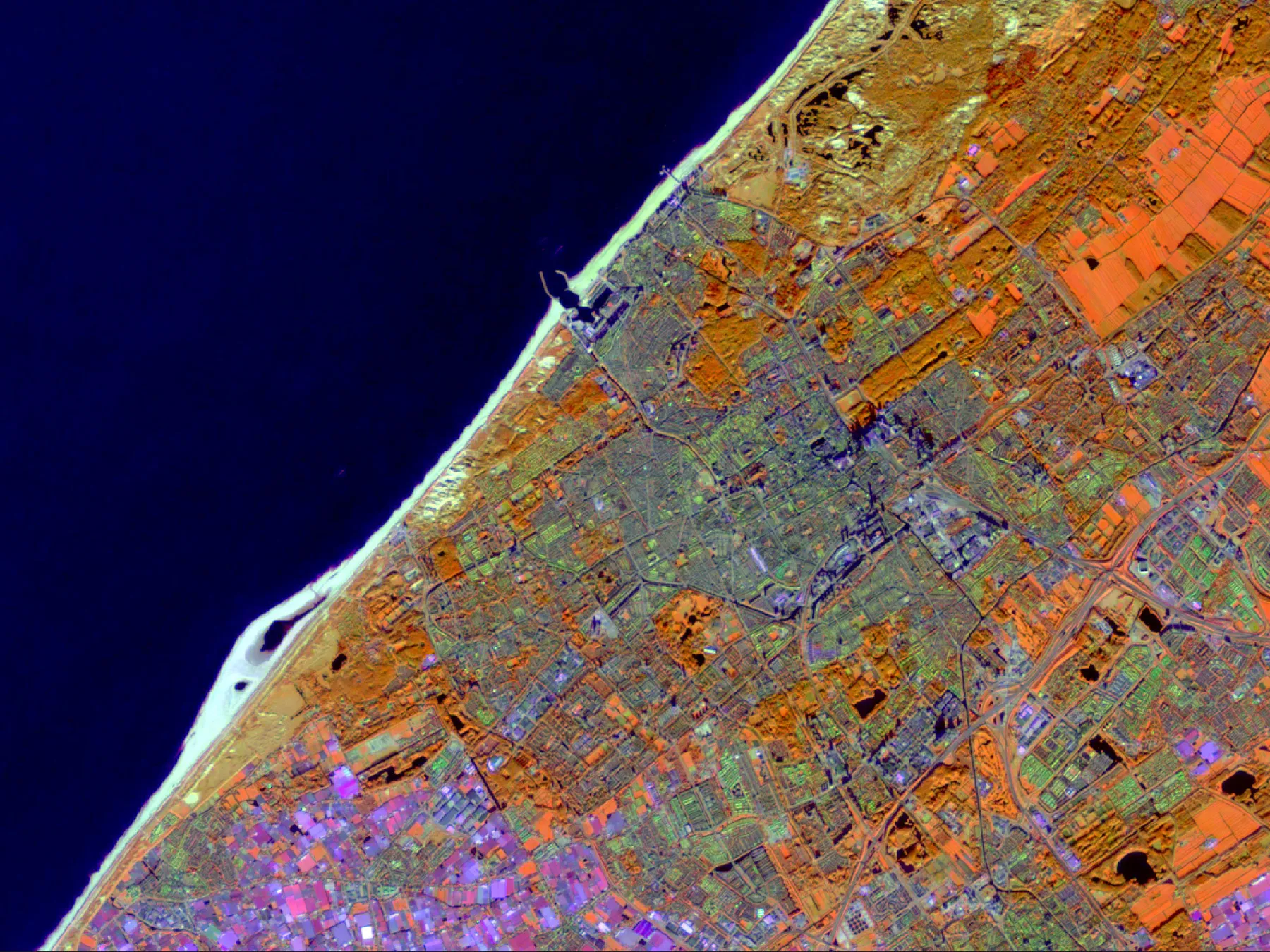 Carousel The Hague, Sentinel 2   Vegetation And Water.jpg