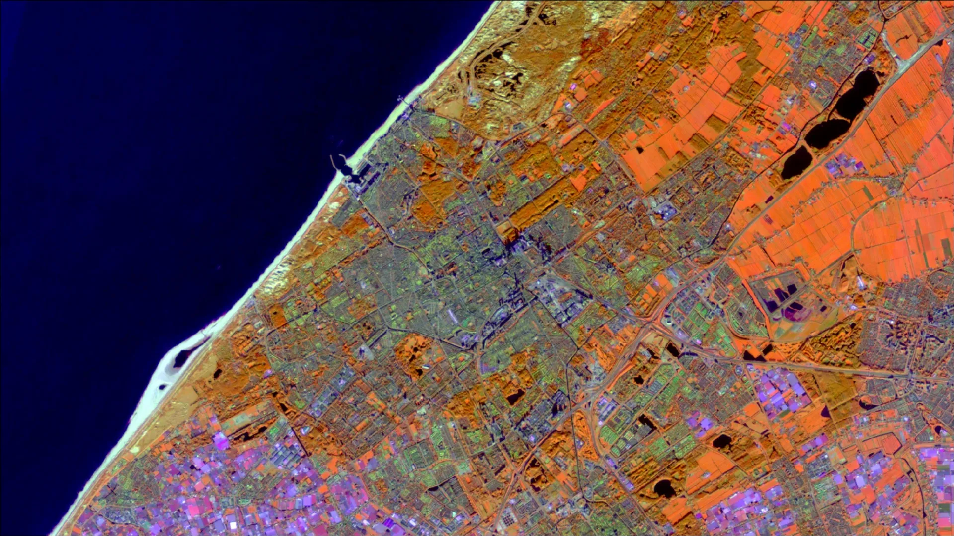 Hague S2 8 12 1 Water Vegetation.jpg