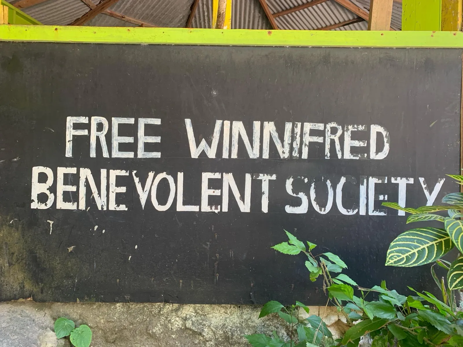 free winifred