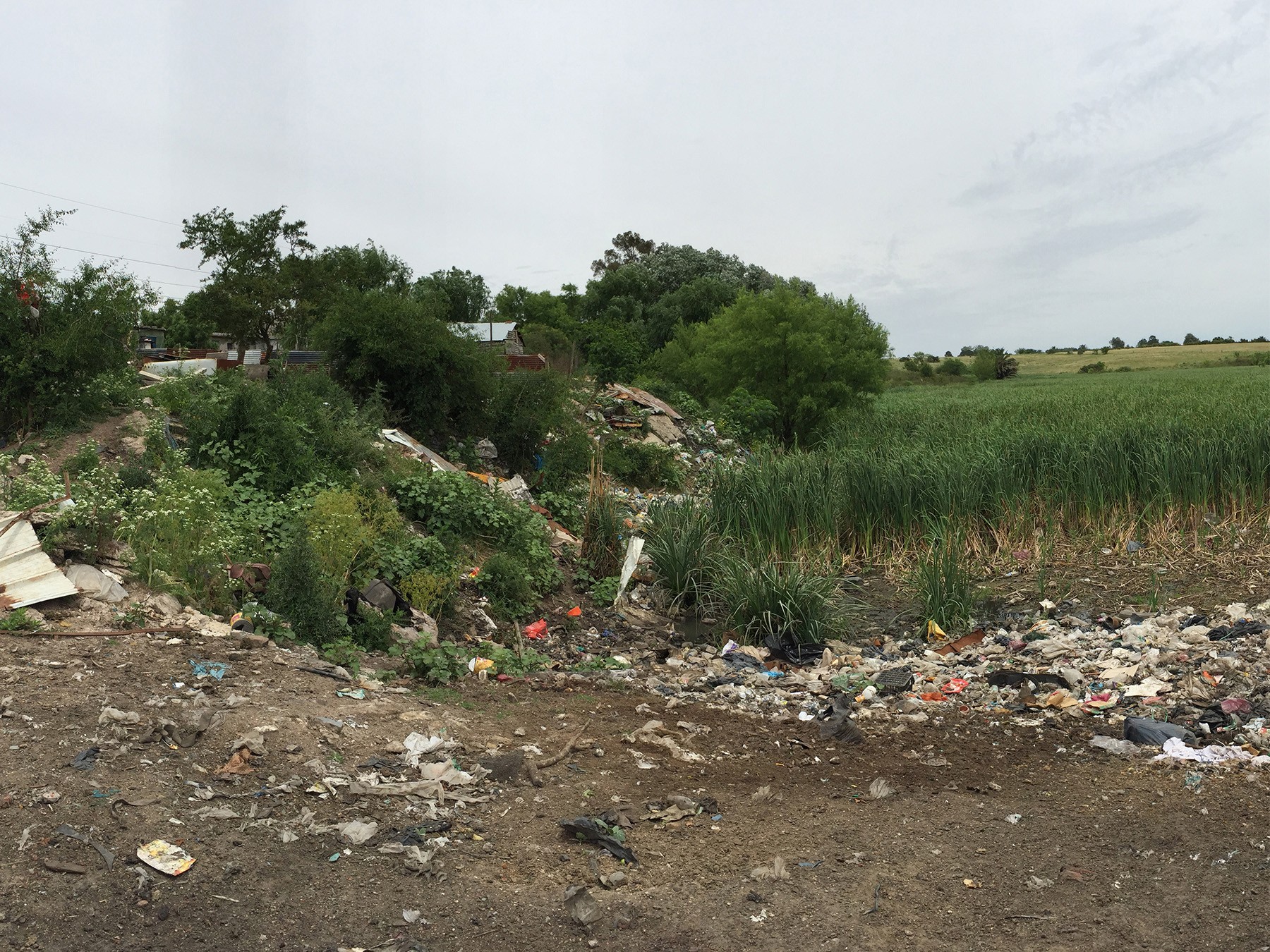 Pantanoso wetland encroachment