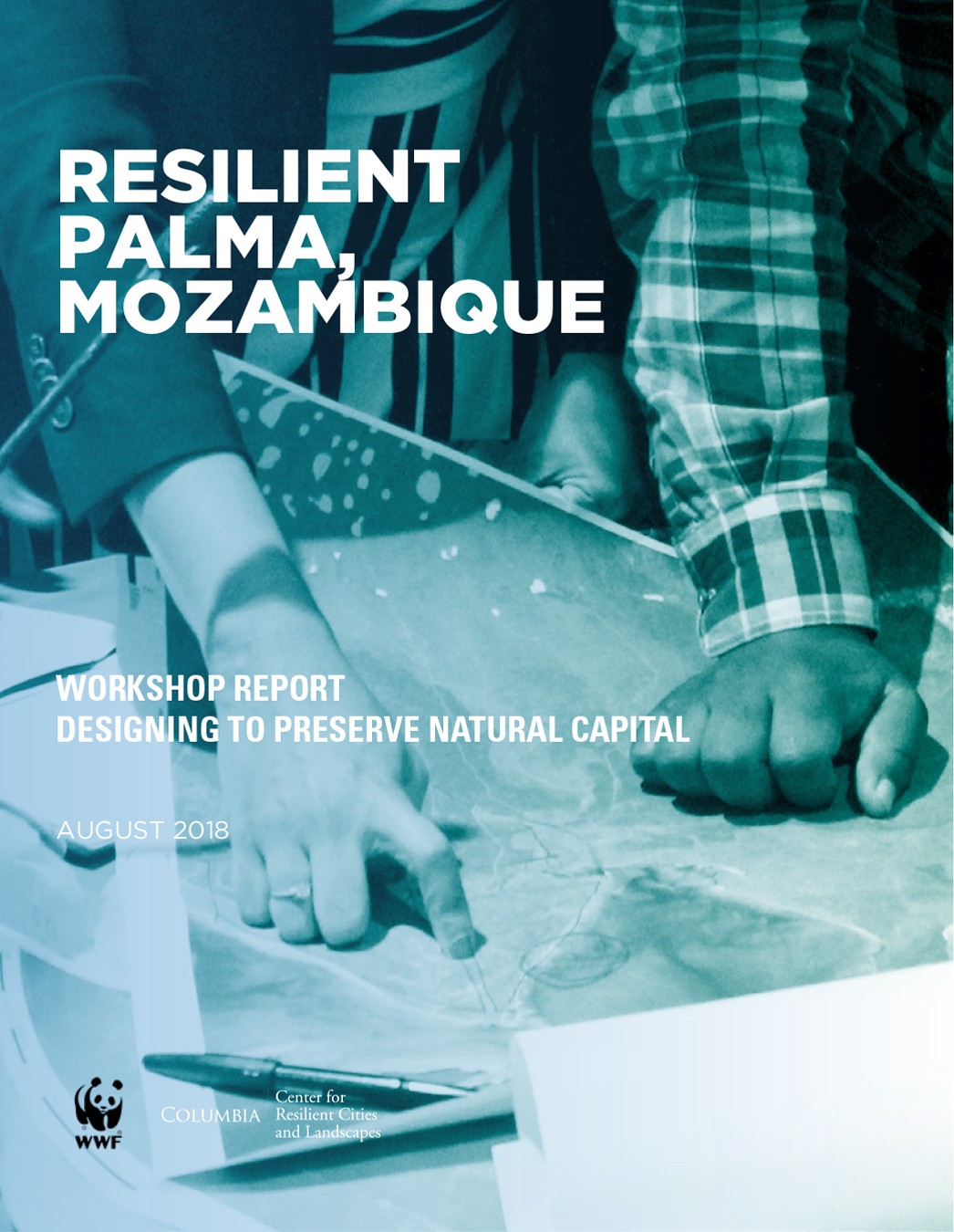 Resilient Palma, Mozambique Workshop Resilient Palma, Mozambique Workshop