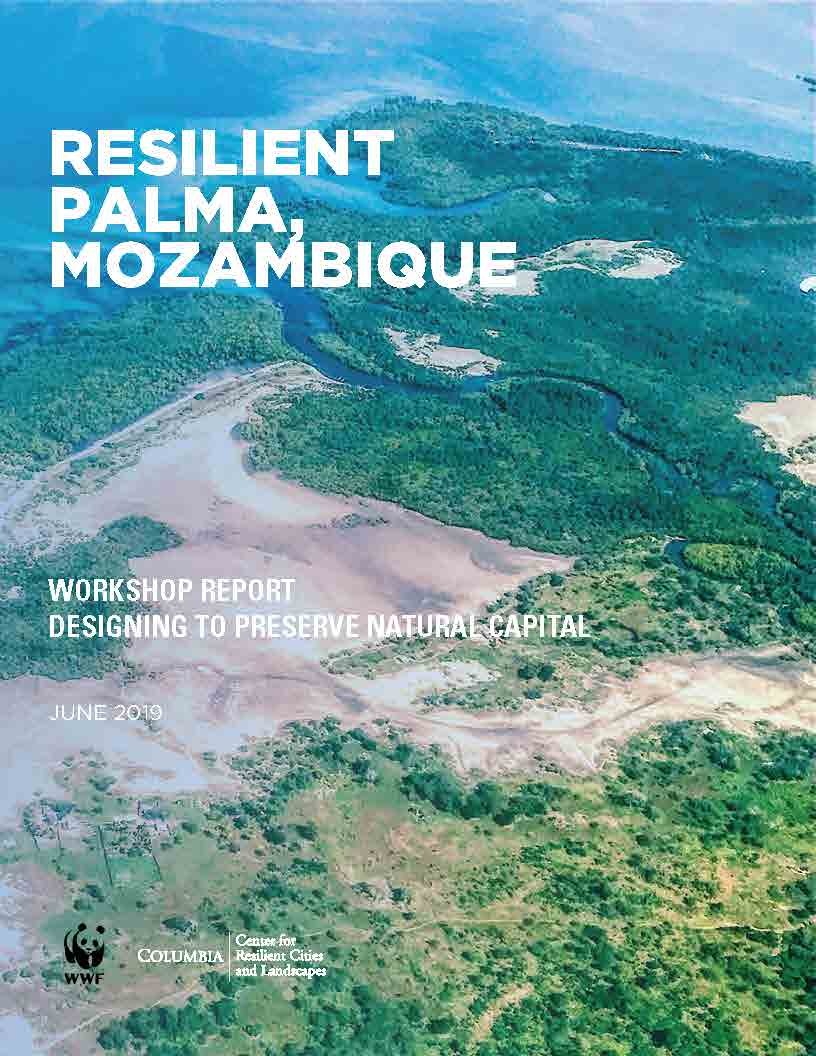 Resilient Palma Report