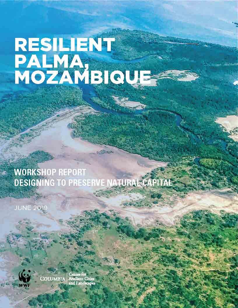Resilient Palma Report Resilient Palma Report