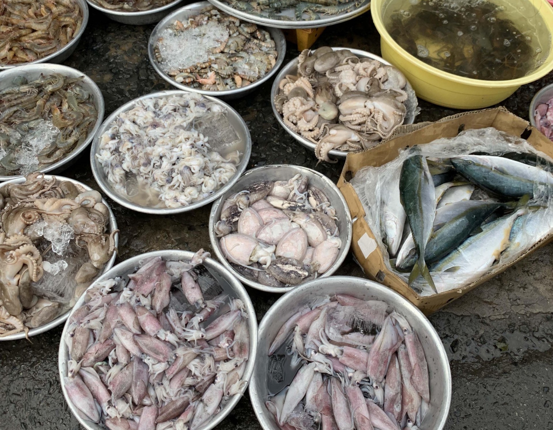 Locally raised aquaculture