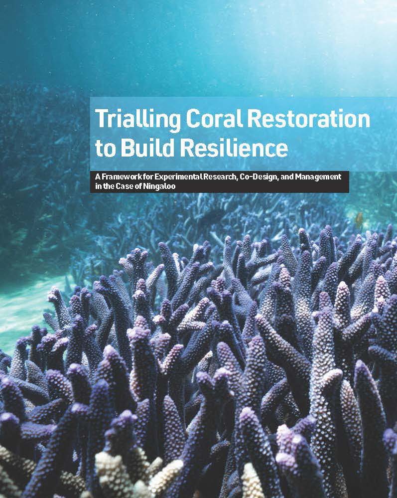 Trialling Coral Restoration to Build Resilience
