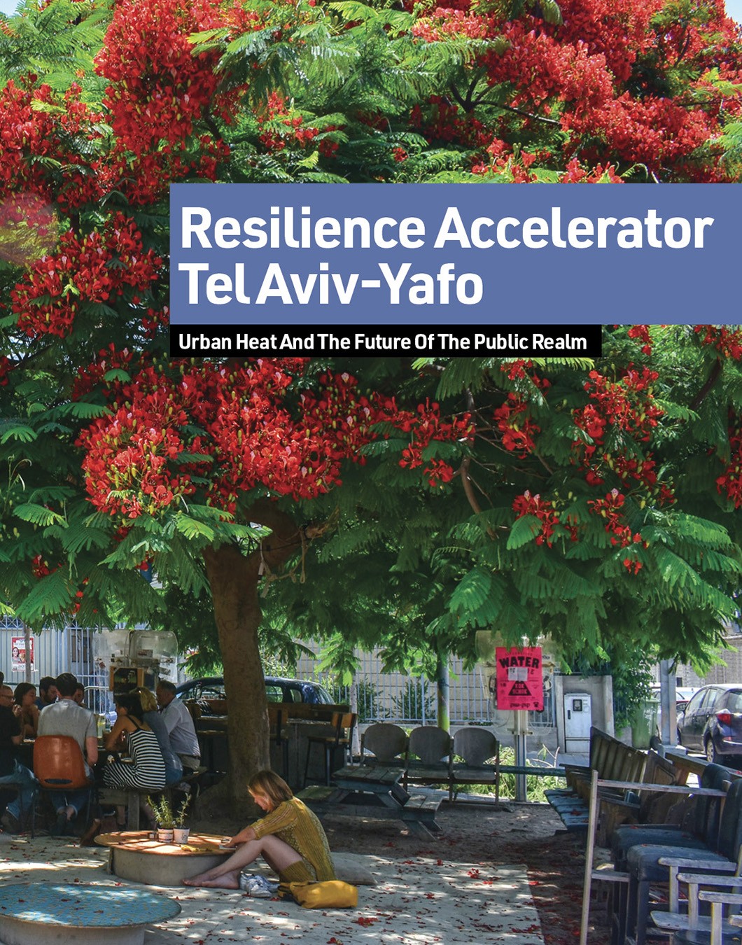 Resilience Accelerator Tel Aviv Report